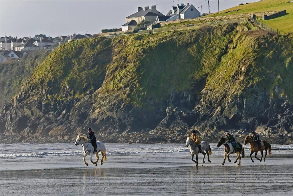 Beach Haven Apartments Tramore Eksteriør billede