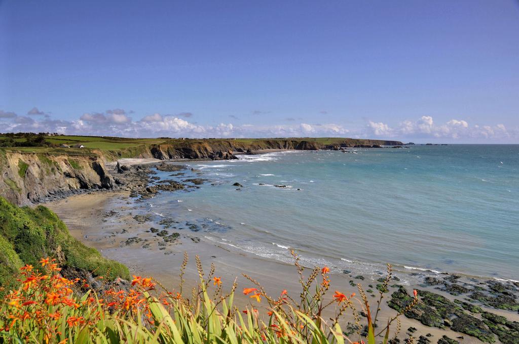 Beach Haven Apartments Tramore Eksteriør billede